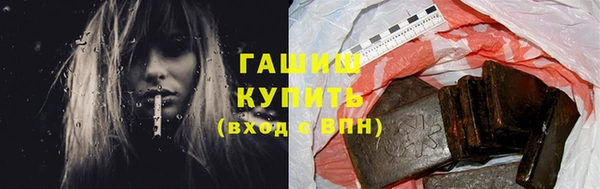 сатива Новозыбков