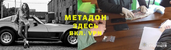 сатива Новозыбков